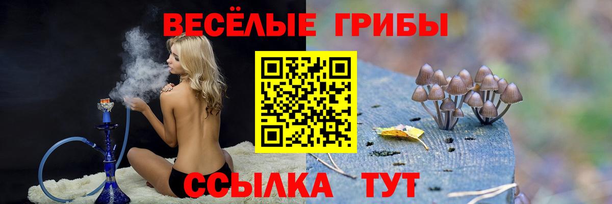 Тавда  Галлюциногенные грибы мицелий  Вход с VPN  Псилоцибиновые грибы Psilocybine cubensis 